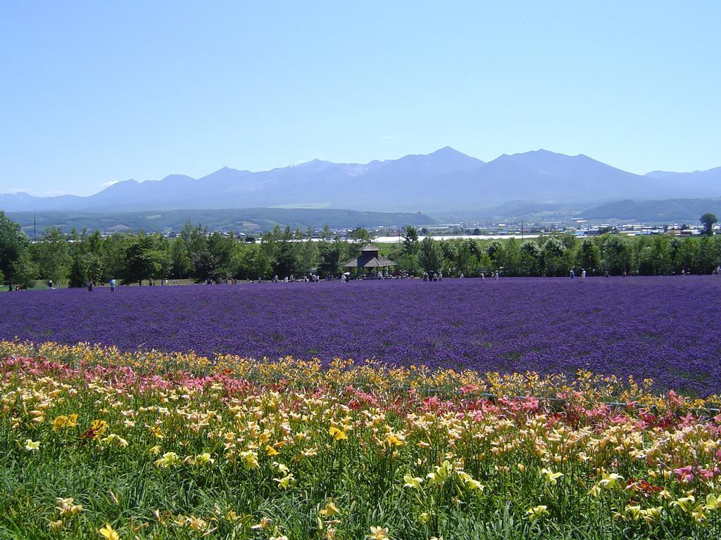 Furano Prince Hotel מראה חיצוני תמונה